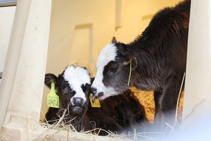 习近平总书记关切事|攥紧中国种子 习近平总书记关切事|攥紧中国种子