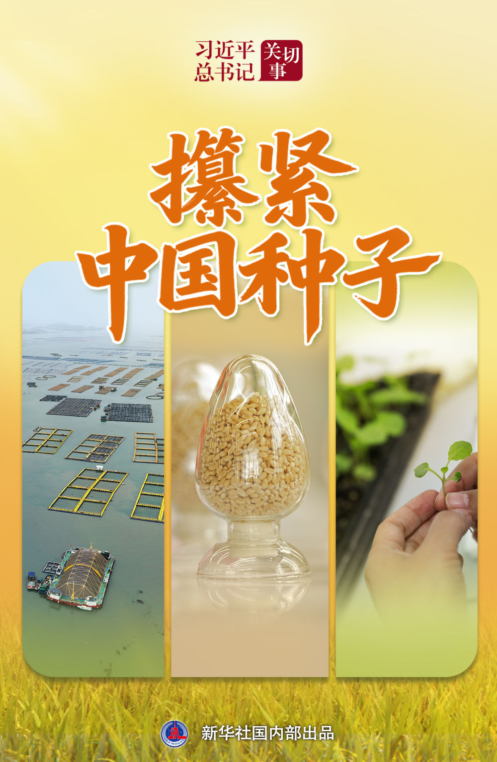 习近平总书记关切事|攥紧中国种子 习近平总书记关切事|攥紧中国种子