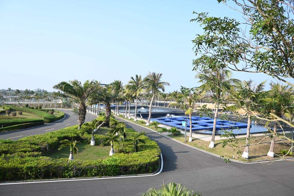 习近平总书记关切事|攥紧中国种子 习近平总书记关切事|攥紧中国种子