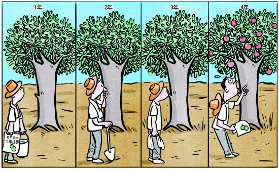 承诺“当年挂果”青苹果树苗4年后结红苹果 长生长周期类商品遭遇“货不对板”退货难